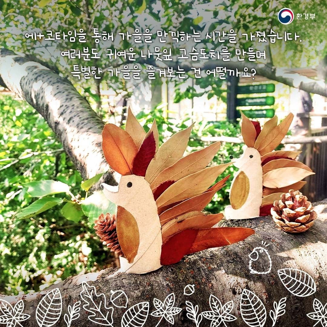환경부 에+코타임을 통해 가을을 만끽하는 시간을 가졌습니다. 여러분도 귀여운 나뭇잎 고슴도치를 만들며 특별한 가을을 즐겨보는 건 어떨까요?