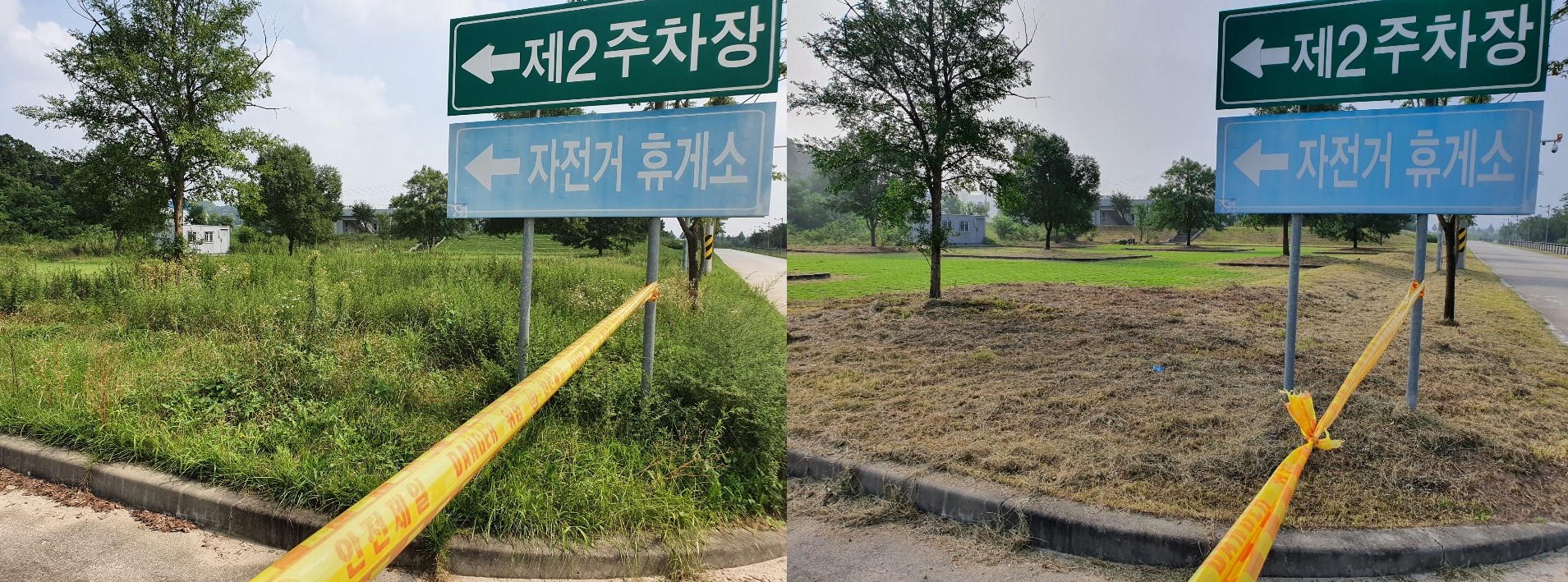 한강유역환경청이 지난 2021년 경기도 양평군 지역의 생태계 교란 식물 제거사업을 추진하기 전(왼쪽)과 후(오른쪽)의 모습2