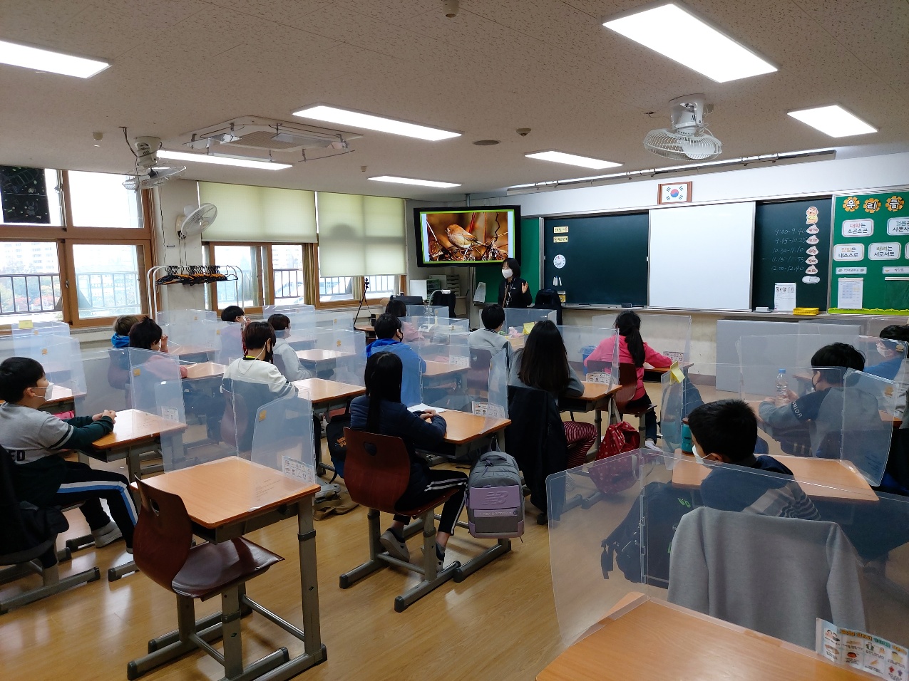 사진2. 일산초등학교 학생들이 한강하구 생태에 대해 공부하고 있다.