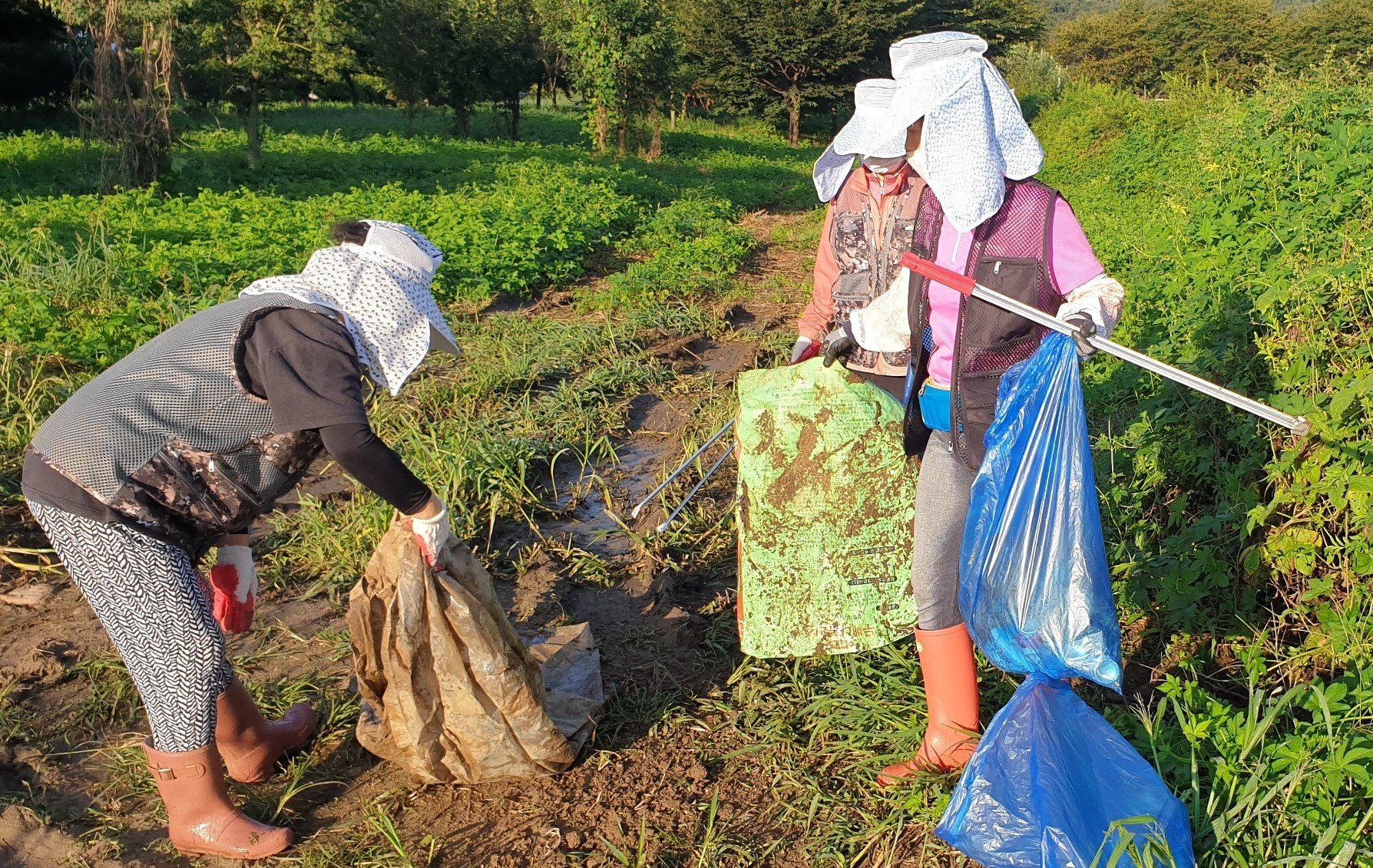 2022년 9월 2일, 경기도 양평군 개군면 구미리 주민들이 마을 수변녹지 정화 활동을 펼치고 있다.
