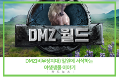 DMZ(비무장지대) 일원에 서식하는 야생생물 이야기