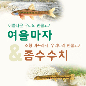 멸종위기 담수어류(좀수수치, 여울마자) 포스터