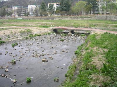 수질오염 측정(대전천동초)