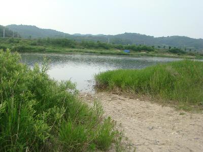 미봉초 5월 활동 모습 섬네일 이미지 2