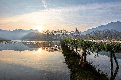 제18회 아름다운 한강 사진 공모전 수상작 (일반부 우수상 : 평창강 섶다리의 가을 아침)