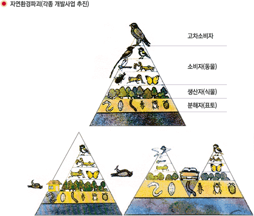 자연환경파괴(각종 개발사업 추진)