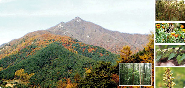 함양 백운산