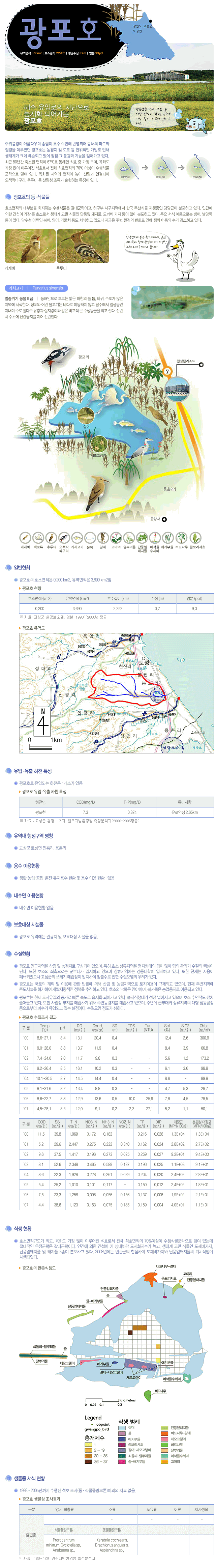 해수유입로의 차단으로 늪지화 되어가는 광포호