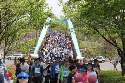 제1회 푸른 하늘의 날(5.2) 기념행사