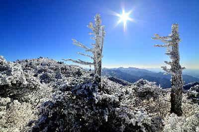 동상) 상고대가 있는 겨울 하늘