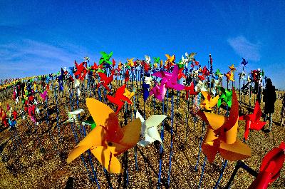 동상) 바람개비 동산