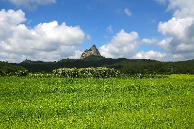가작) 부농의 꿈