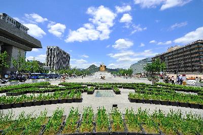 가작) 광화문은 내가 지킨다