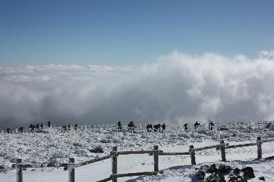 동상)구름바다
