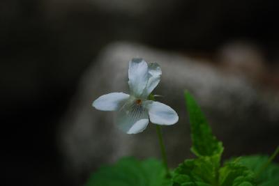 생태사진 경연대회 사진