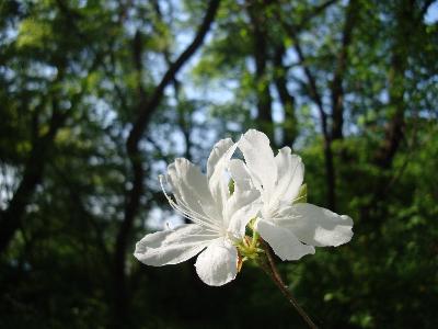 생태사진 경연대회 사진 섬네일 이미지 1