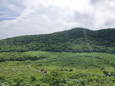 용늪 전경(여름)