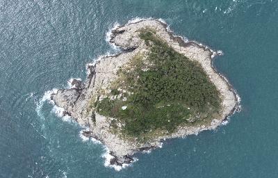 보론섬(지정번호 207호) 섬네일 이미지 1