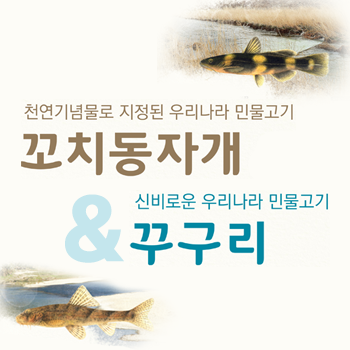 멸종위기 담수어류(꼬치동자개, 꾸구리) 포스터