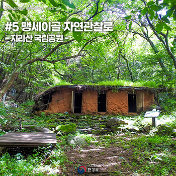 #5 맹세이골 자연관찰로 - 지리산 국립공원