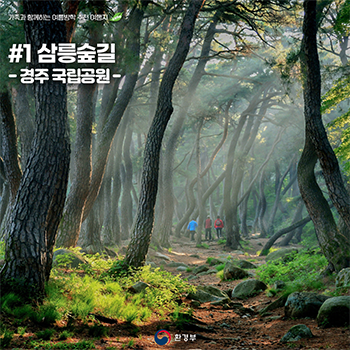 #1 삼릉숲길 - 경주 국립공원