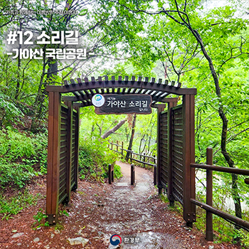 #12 소리길 - 가야산 국립공원