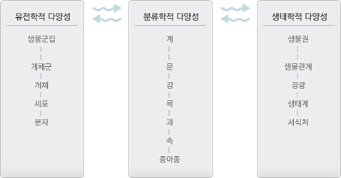 자세한 내용 본문 참조