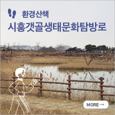 환경산책 : 시흥갯골생태문화탐방로